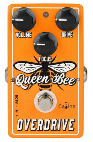 Caline CP-503 "Queen Bee" Overdrive Guitar Effect Pedal